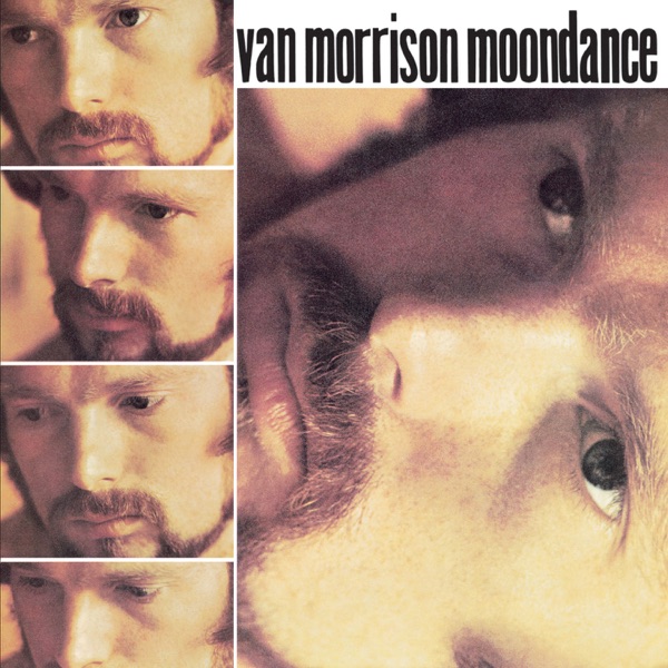 van morrison artwork